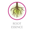 Root Essence