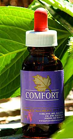 Comfort Quality Essence - Wellbeing and general support