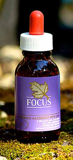 Focus Essence - wellbeing of your direction in life