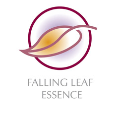 falling leaf essence