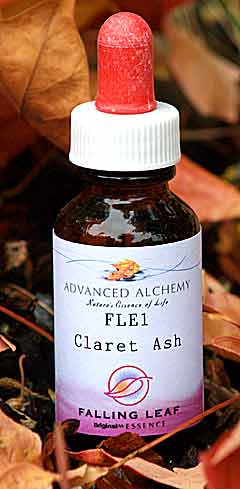 Falling Leaf Essence - Claret Ash