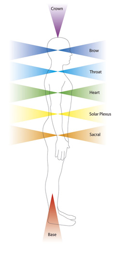 seven major chakras