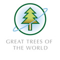 Great Trees of The World