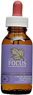 Focus - AAV015