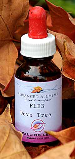 Dove Tree Falling Leaf Essence - wellbeing