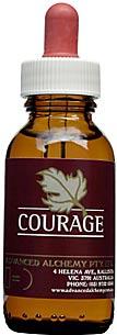 Courage - AAV010