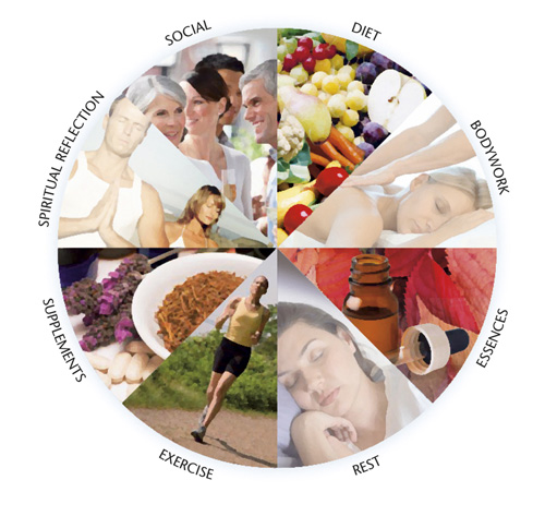 Wheel of Wellbeing - Essences bring the magic extra