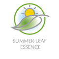Summer Leaf Essence