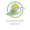 Summer Leaf Essence