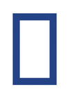 the rectangle