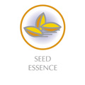 Seed Essence