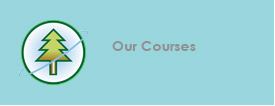 Our Courses